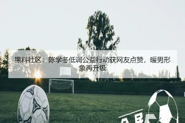 hei-liao-she-qu-chen-xue-dong-di-diao-gong-yi-xing-dong-huo-wang-you-dian-zan-nuan-nan-xing-xiang-zai-sheng-ji-1-986.jpg